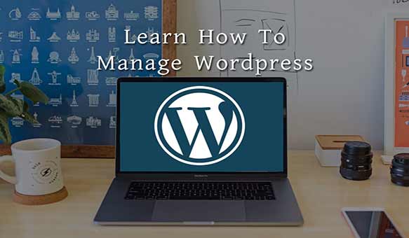 Learn How to Manage WordPress for Free Within a Week